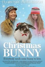 The Christmas Bunny