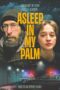 Asleep in My Palm (2023)